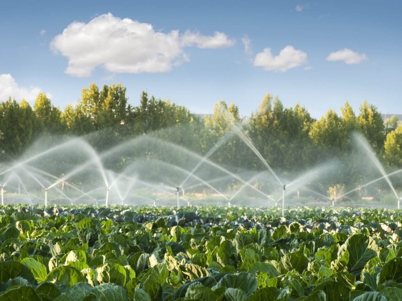 Emenda amplia prazo de penalidades a agricultores de dos projetos públicos de irrigação