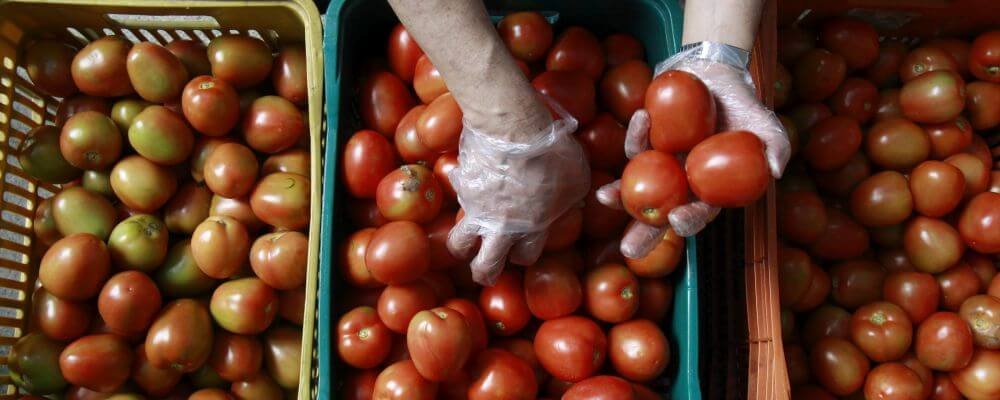 Descarte de alimentos próprios para consumo poderá ser proibido